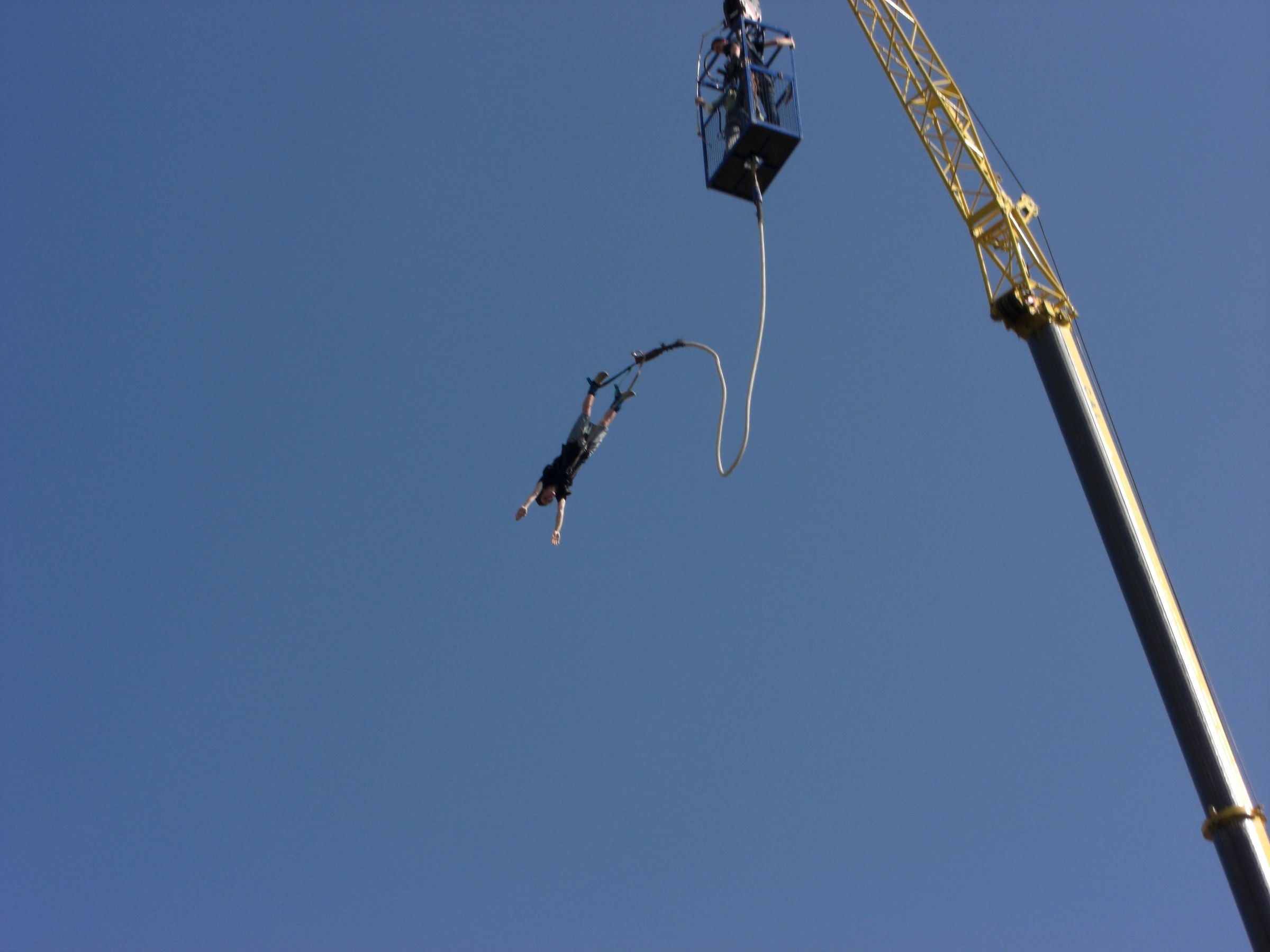 Saut élastique de Grue.